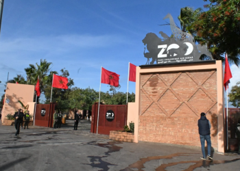 حديقة عين السبع تطلق فضاء غامرا جديدا لتعزيز تجربة الزوار الإيكولوجية بالدار البيضاء 5 حديقة عين السبع تطلق فضاء غامرا جديدا لتعزيز تجربة الزوار الإيكولوجية بالدار البيضاء