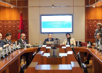 السعدي: ميزانية قطاع الاقتصاد الاجتماعي “ضعيفة” والرهان على إحداث 100 ألف منصب شغل في أفق 2030