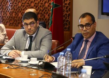 محمد المهدي بنسعيد: قرار المحكمة الدستورية “تمرين ديمقراطي”.. والحكومة تسعى لتقوية مجلس الصحافة