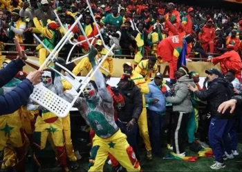 88517633 8e17 41de b8e1 d14bb4828bb0.jpeg