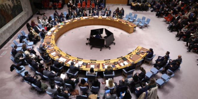 Capture decran 2026 04 02 205201