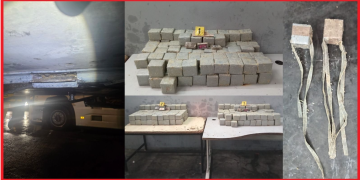 إحباط تهريب 181 كيلوغراماً من “الشيرا” بميناء طنجة المتوسط وتوقيف سائق شاحنة