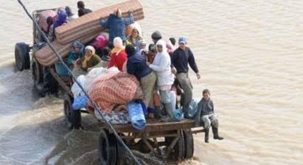 البابا من الجزائر: السلطة تُخدم ولا تهيمن… ورسالة مشفّرة حول الحريات تضع المشهد السياسي تحت المجهر