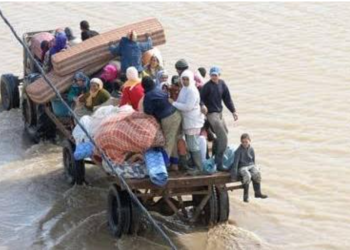 لفتيت يكشف معايير صرف دعم متضرري فيضانات القنيطرة ويحدد آليات الإحصاء والتعويض 5 البابا من الجزائر: السلطة تُخدم ولا تهيمن… ورسالة مشفّرة حول الحريات تضع المشهد السياسي تحت المجهر