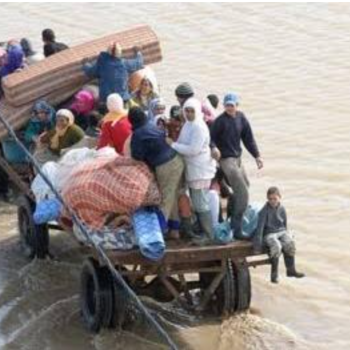 الرئيسية 28 Capture decran 2026 04 13 211731