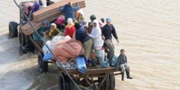 البابا من الجزائر: السلطة تُخدم ولا تهيمن… ورسالة مشفّرة حول الحريات تضع المشهد السياسي تحت المجهر