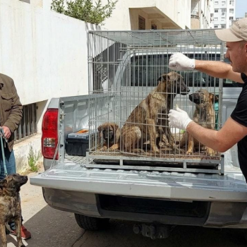 Capture decran 2026 04 18 194557