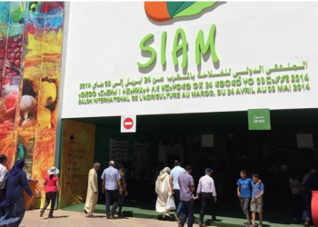 Capture decran 2026 04 20 143209