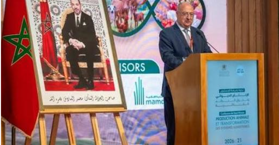 Capture decran 2026 04 21 133955