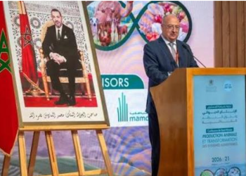 Capture decran 2026 04 21 133955