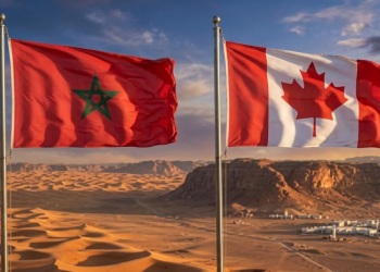 Capture decran 2026 04 28 201803