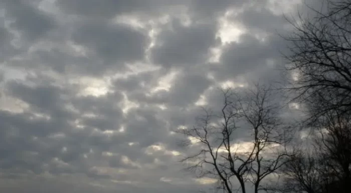 طقس الثلاثاء 14 أبريل .. أجواء باردة نسبيا ورياح قوية بعدد من مناطق المملكة 1 طقس الثلاثاء 14 أبريل .. أجواء باردة نسبيا ورياح قوية بعدد من مناطق المملكة