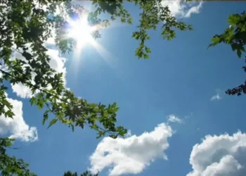 طقس بارد صباحا ورياح قوية .. وارتفاع مرتقب في الحرارة نهارا 5 طقس بارد صباحا ورياح قوية .. وارتفاع مرتقب في الحرارة نهارا