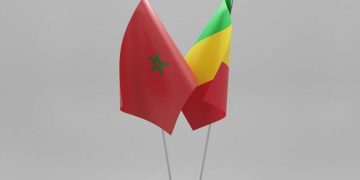المغرب يعزز التعاون الأمني مع مالي عبر تكوين متخصص في تدريب الكلاب البوليسية