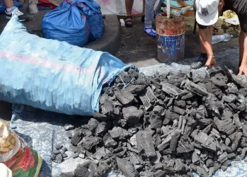 ارتفاع أسعار الفحم بالدار البيضاء بسبب ندرة الخشب واقتراب عيد الأضحى 6 ارتفاع أسعار الفحم بالدار البيضاء بسبب ندرة الخشب واقتراب عيد الأضحى