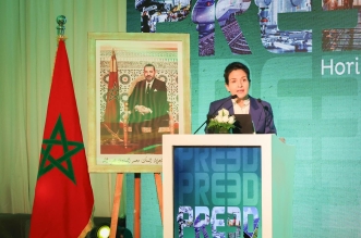 النجاعة الطاقية