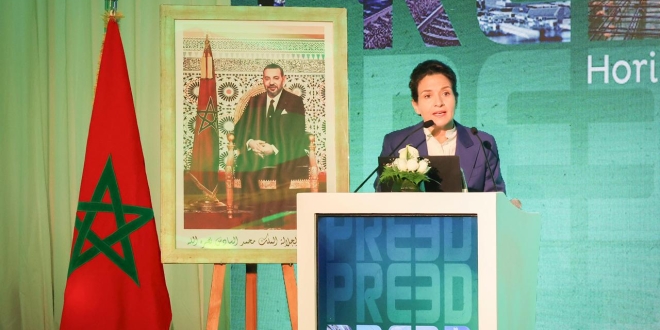 النجاعة الطاقية