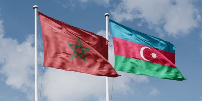 WhatsApp Image 2026 04 01 at 19.03.54 1