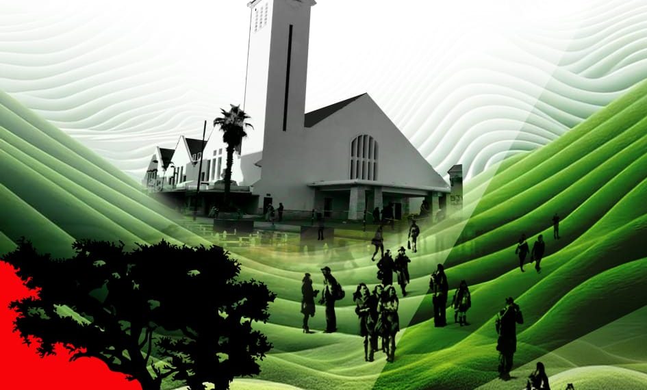 المهرجان الدولي للسينما