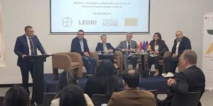 استثمارات ألمانية