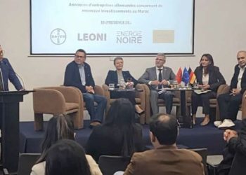 استثمارات ألمانية