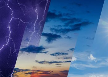 WhatsApp Image 2026 04 24 at 14.42.06