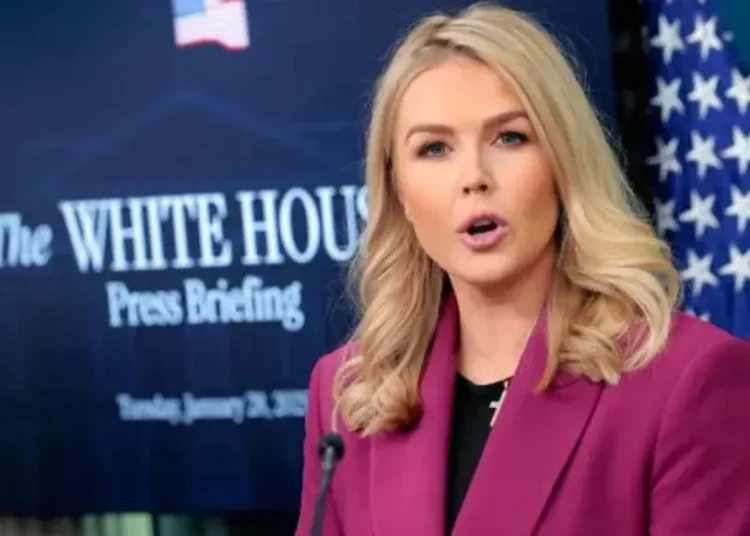 b07e14e03cb711f0b7aa93a660d2b2f9file1748542008615240175670 094445 large