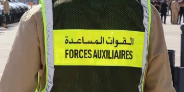 ورزازات.. عنصر من القوات المساعدة ضمن شبكة إجرامية مختصة في ترويج المخدرات