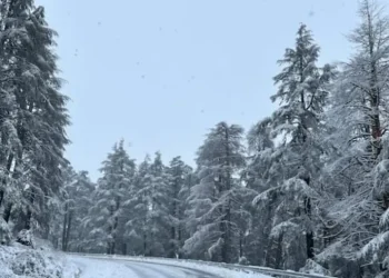 نشرة إنذارية.. زخات رعدية وتساقطات ثلجية ورياح عاصفية بعدد من مناطق المملكة