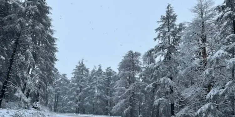 image 870x 695143dd43aff