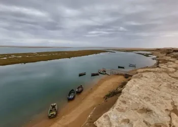 image 870x 69d357e7ba0ae