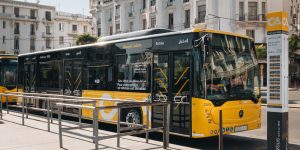 حافلات البيضاء