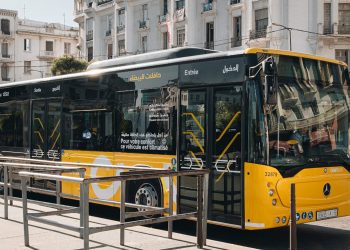 حافلات البيضاء