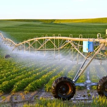 الرئيسية 35 فلاحة